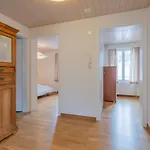 Apartman Minze *